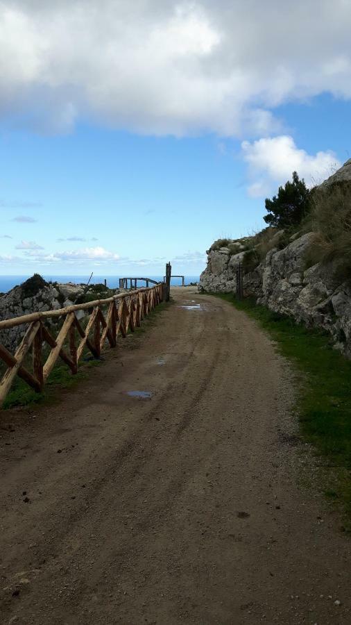 Duchi Διαμέρισμα Παλέρμο Εξωτερικό φωτογραφία